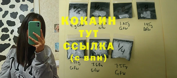 крисы Армянск