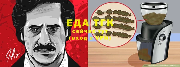 твердый Арсеньев