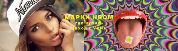 твердый Арсеньев