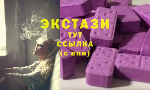 твердый Арсеньев