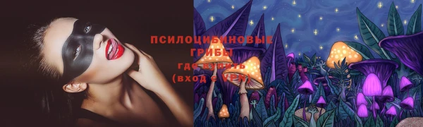 крисы Армянск
