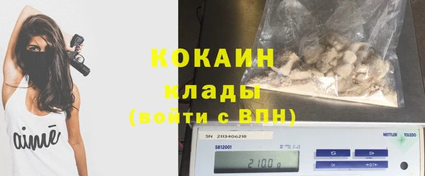 твердый Арсеньев