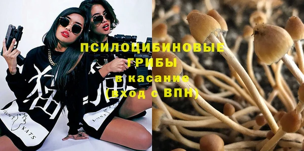 крисы Армянск