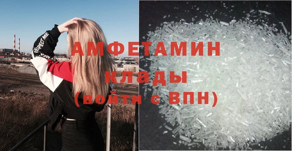 твердый Арсеньев