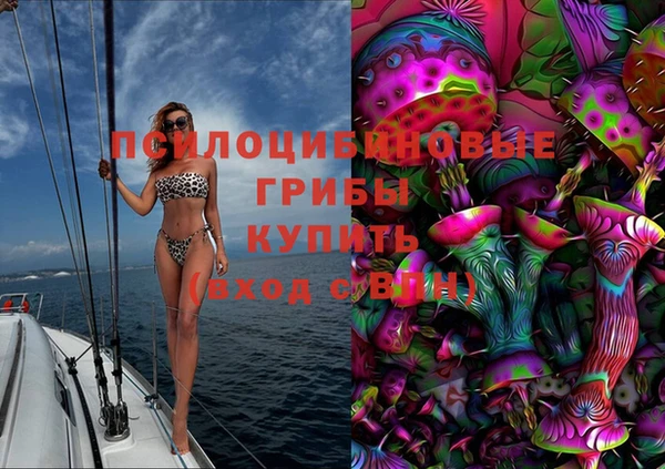 крисы Армянск