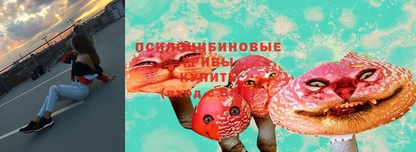 твердый Арсеньев